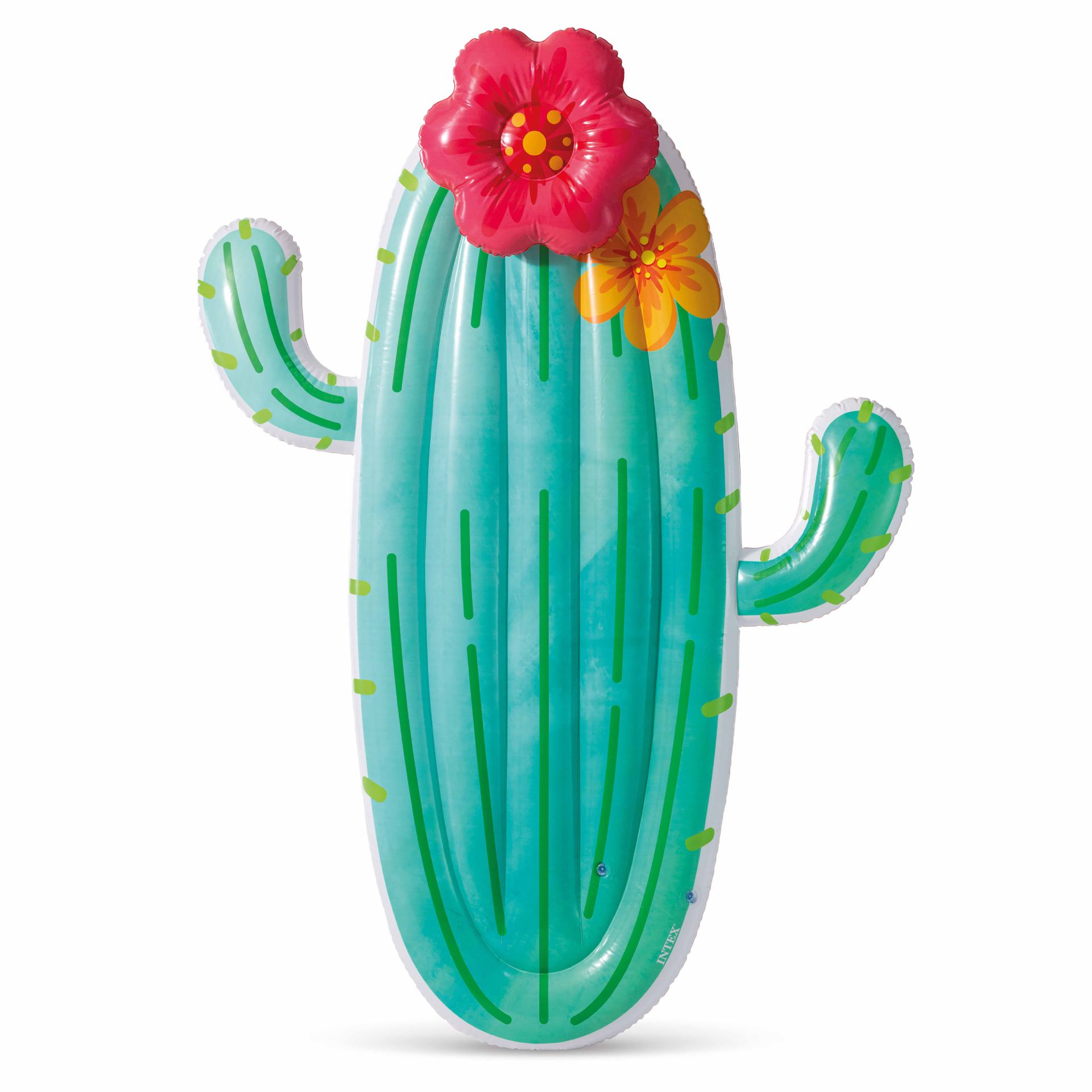 Intex cactus float bestellen